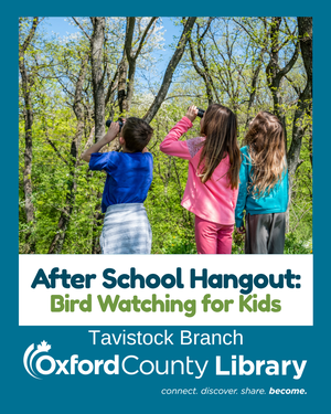 TAV - After School H